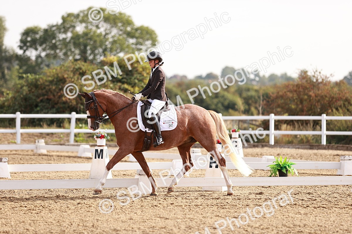 SBM_016866 - Class 10 - Medium 6