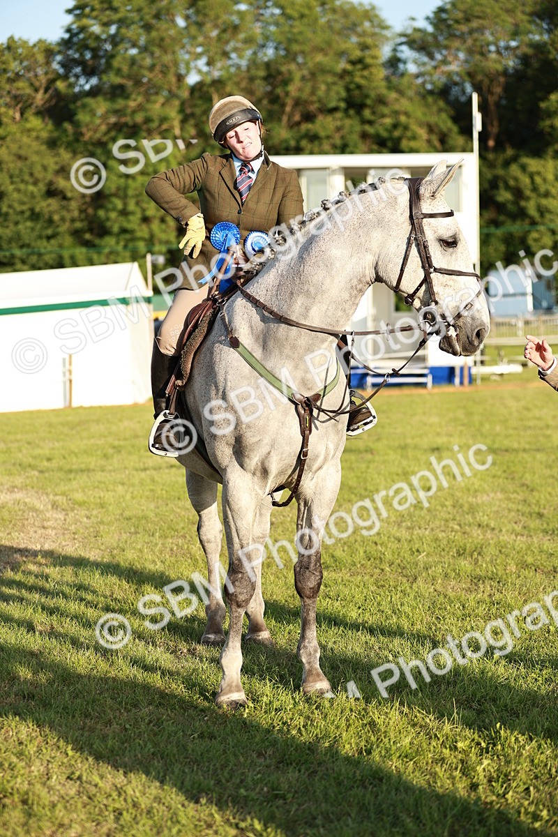 SBM_20576 - Class 117-119 - Sport Horse Working Hunter