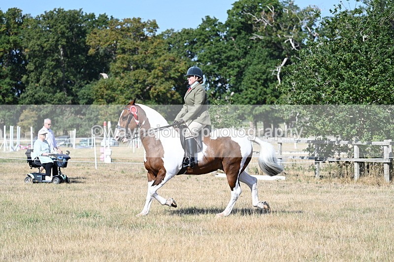 WJ7_3257 - Class 8 Ridden Tack & Turnout