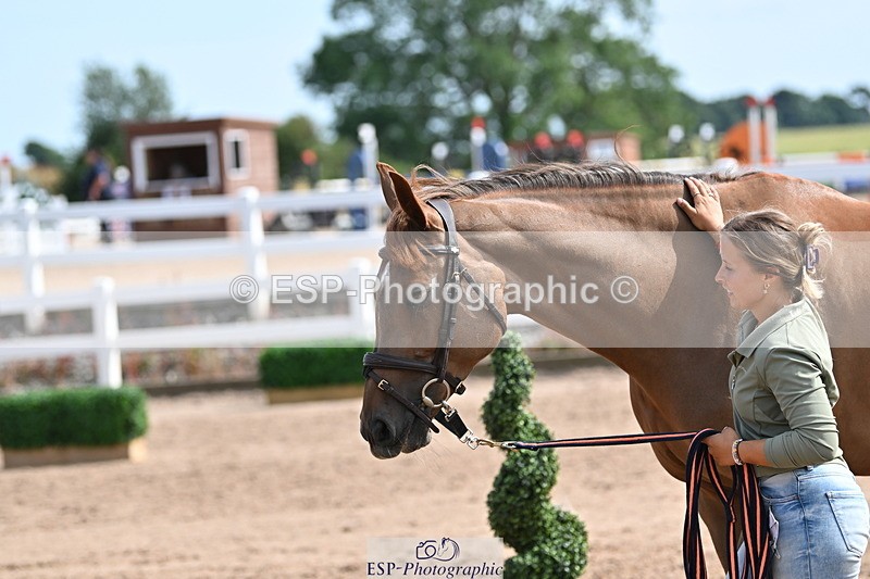 240717A-160708-03318 - Trot Up 4pm to 5pm