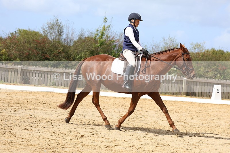 3E7A3987 - Class 9: Novice 6 Section B Championship