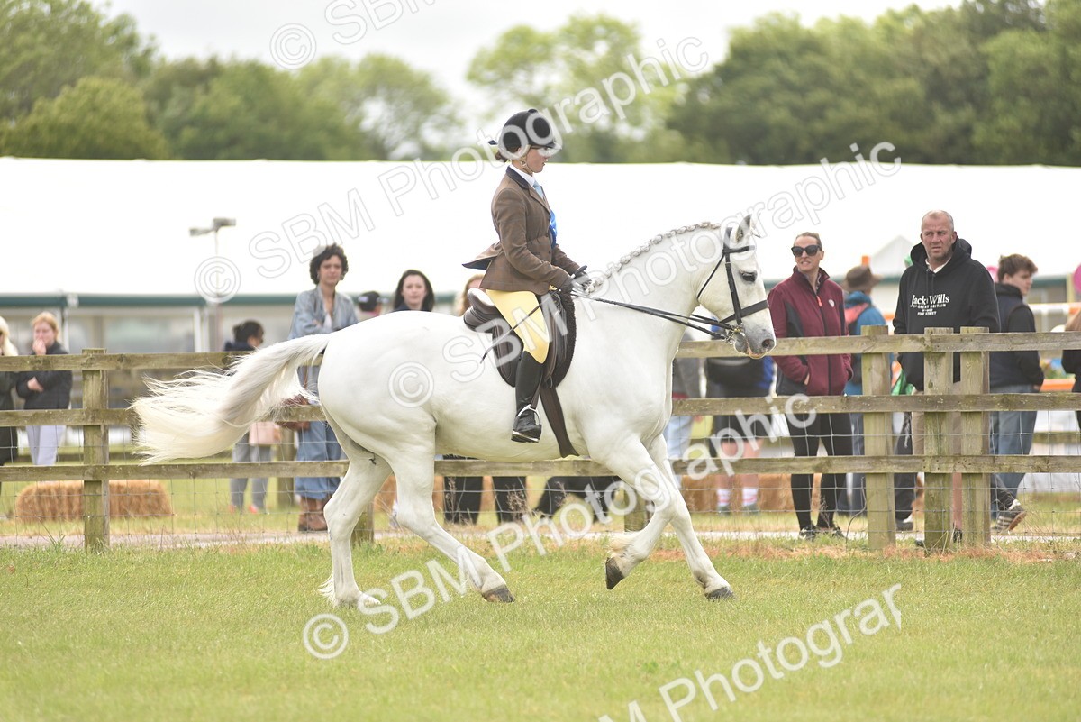 SBM_12078 - Class 110-112 - LIHS BSPS Performance Pones