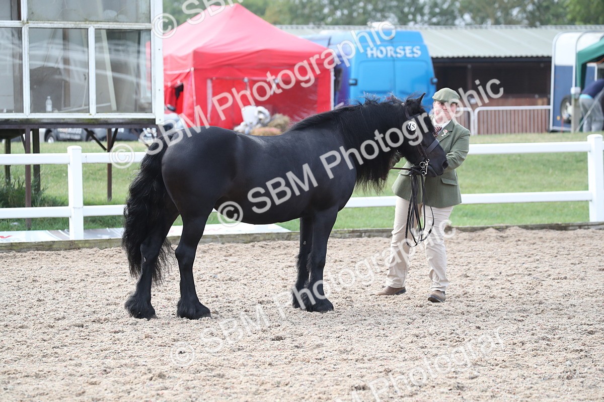 SBM_23282 - Class 606 - 2025 Area - IH Pre Vet