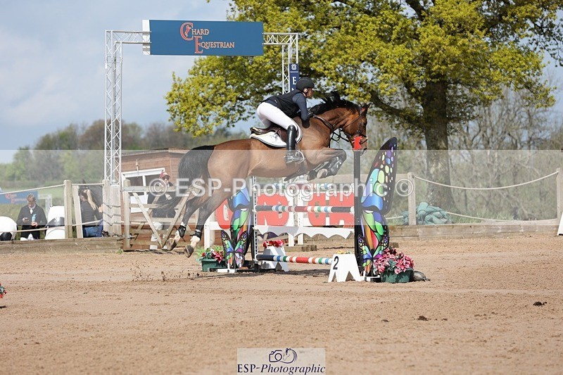 250427-110910-15824 - Cls 36 Young Horse 7yr old