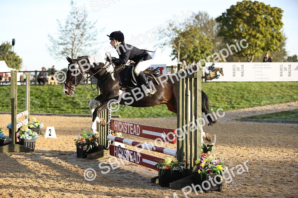 SBM_32950 - J38 - Senior 80cm Championship