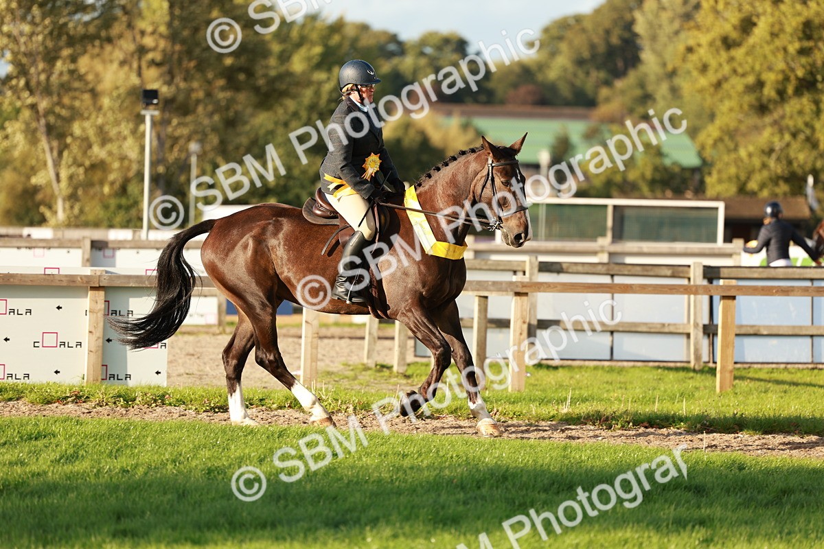 SBM_29315 - Novice & newcomer Supreme Championship