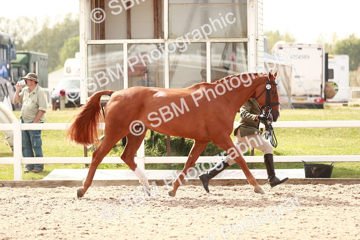 SBM_13178 - Class 208 IH Veteran Horse