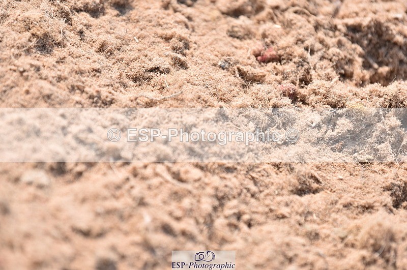 230609A-095748-00229 - Cls 8 British Novice & 90cm Open