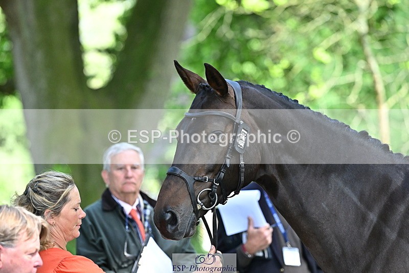 250521A-153455-00609 - B-319-Ali.Wilkes-JAZZ.ROOS