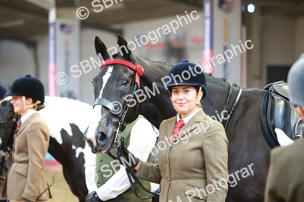 SBM_10704 - Class 103 - HOYS Veteran Qualifier - Ridden Pre Vet