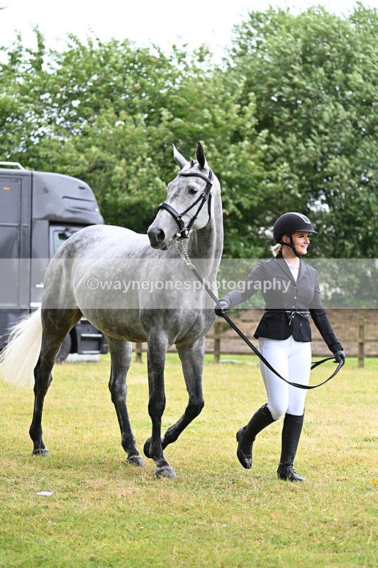 WJ7_6066 - Class 4a Prettiest Mare over 14hh
