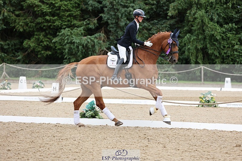 240810-170515-04542 - Elementary Silver