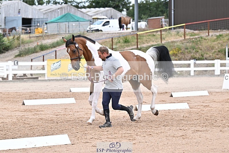 250716-134332-00661 - Trot Up 1.30 to 2.30