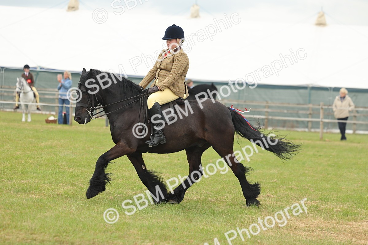 SBM_08958 - Class 78-80 - Ridden M&M Non Welsh Ponies