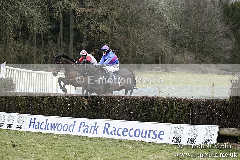 PtP 110318 154 - Hampshire Hunt Point-to-Point Hackwood Park 11/03/18