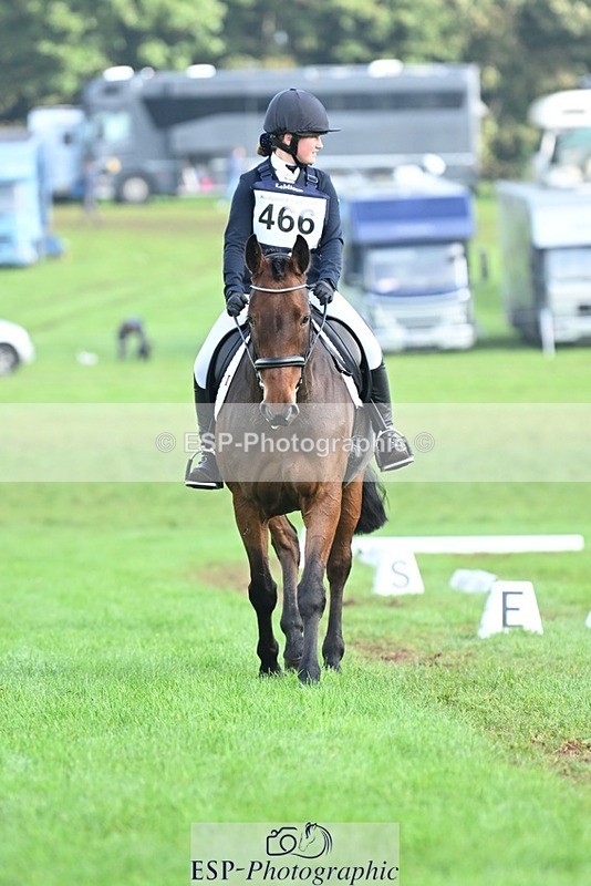 231020-095518-05803 - 466-SPARHANGER.VELVET-Tichy.Sanders-DR