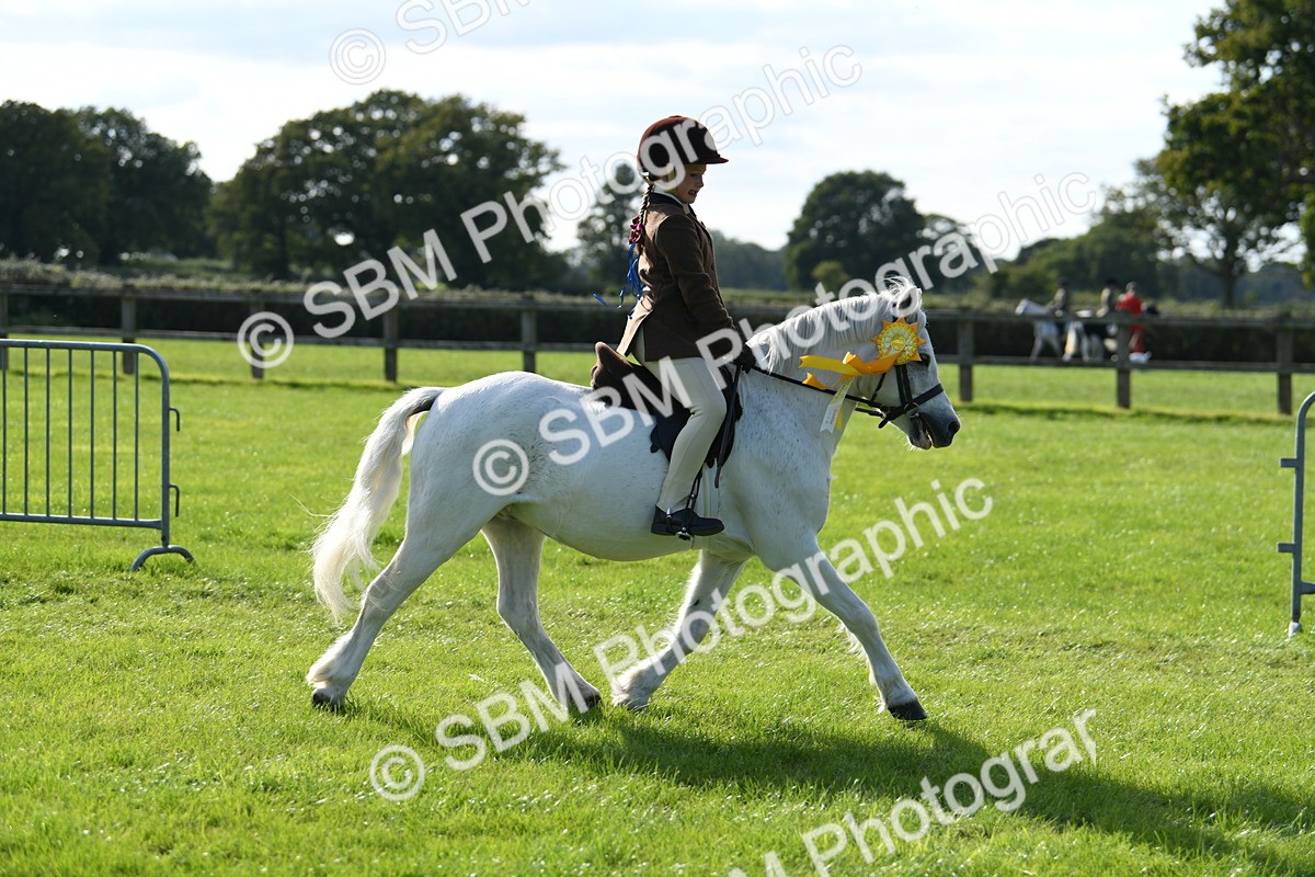 SBM_50525 - S21 - Novice & Newcomers 1st Ridden Pony