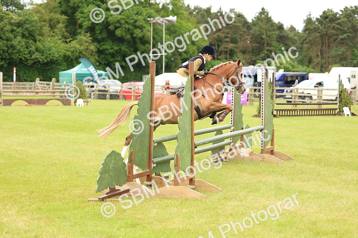 SBM_10235 - Class 44-45 - LIHS BSPS Open Nursery and Cradle Stakes