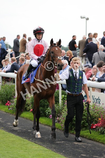yr20082021r1-10 - Race 1 1.50pm Sky Bet Stakes