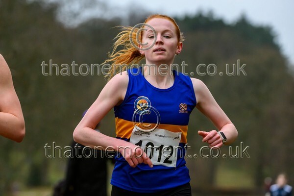 Falkirk26-922069 - Senior Women Set One