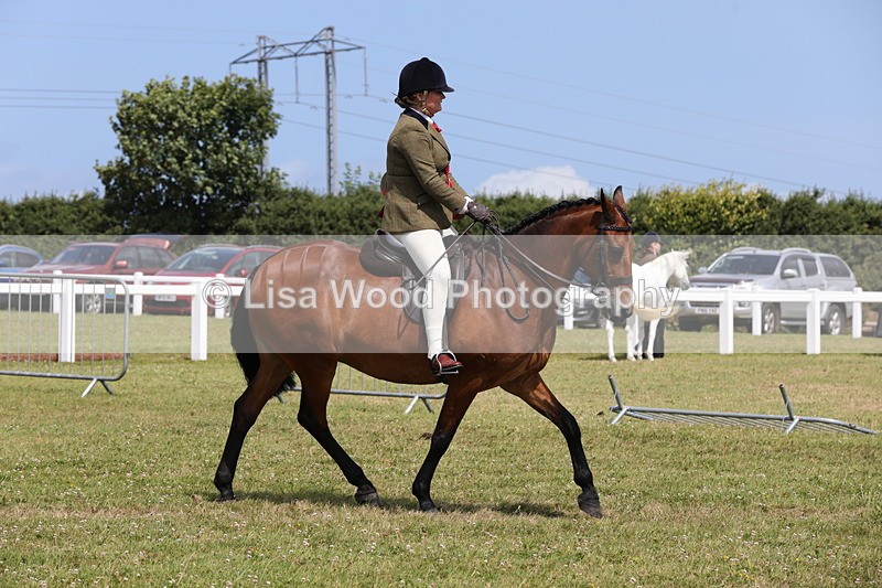 1X9A4124 - Class 32: Show Hunter Pony 153cm and under