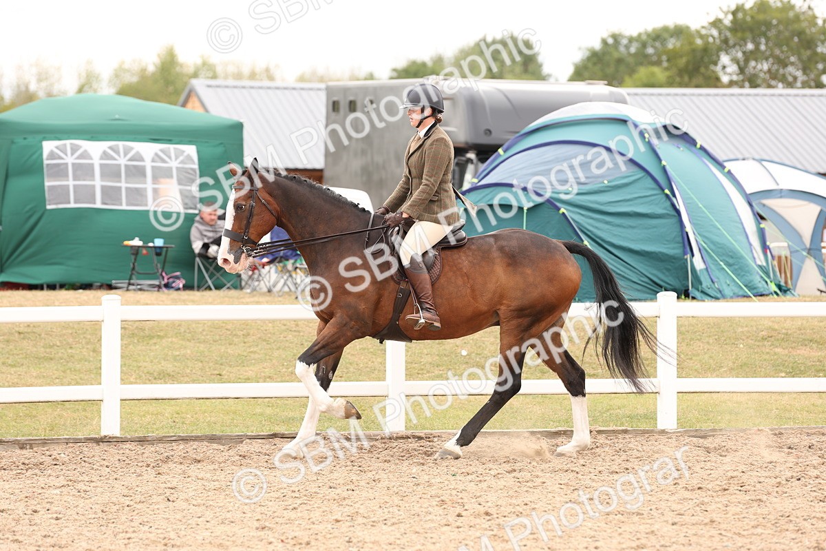 SBM_17244 - Class 213 - Ridden Hunter - Large