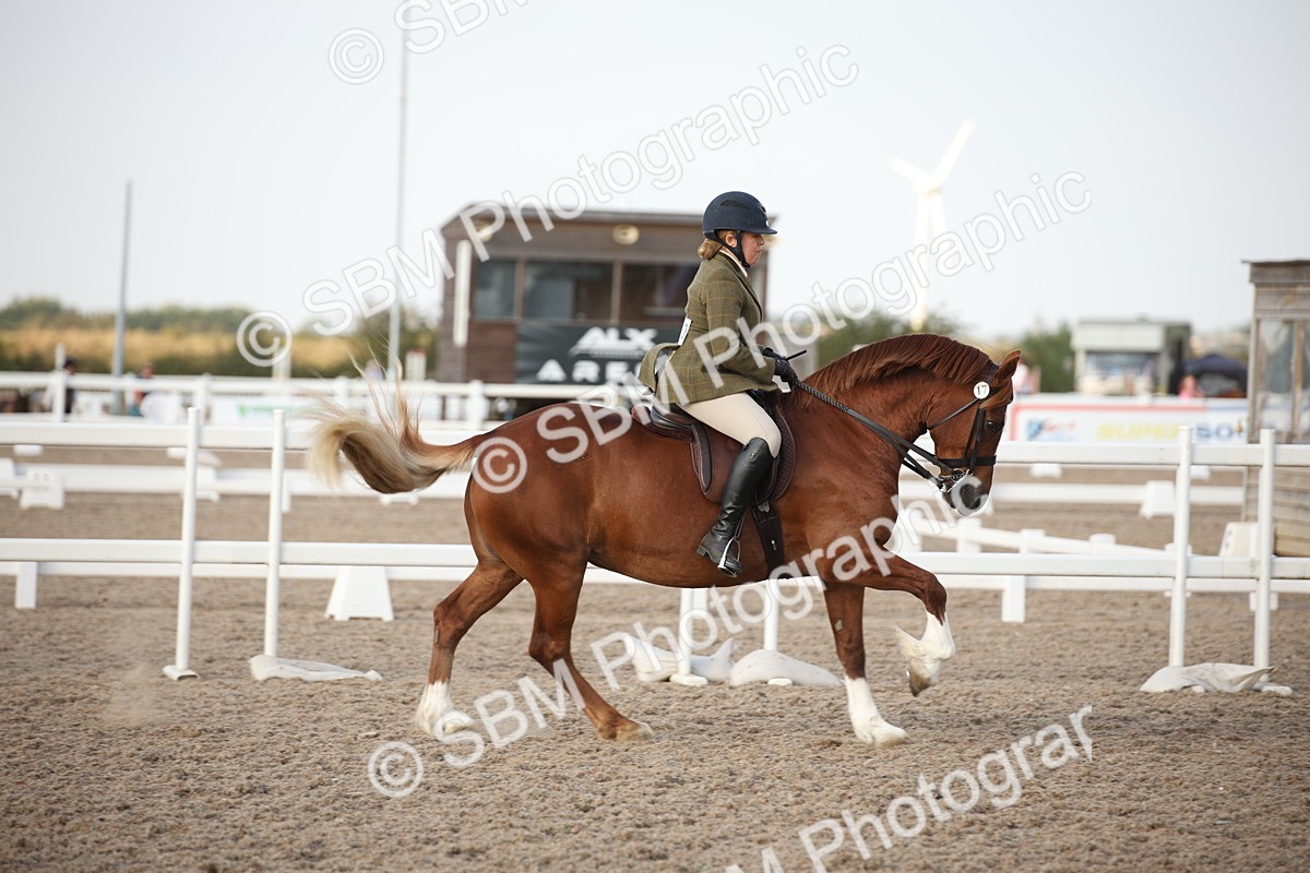 SBM_09194 - Regional Ridden Champ