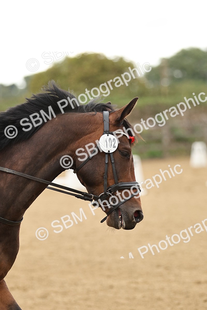 SBM_002131 - Intro 1-2