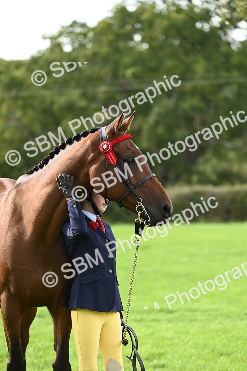 SBM_25039 - S5 - Novice & Newcomer In hand