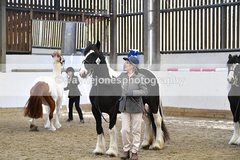 WJ5_5108 - Class 7 In hand coloured / odd coloured