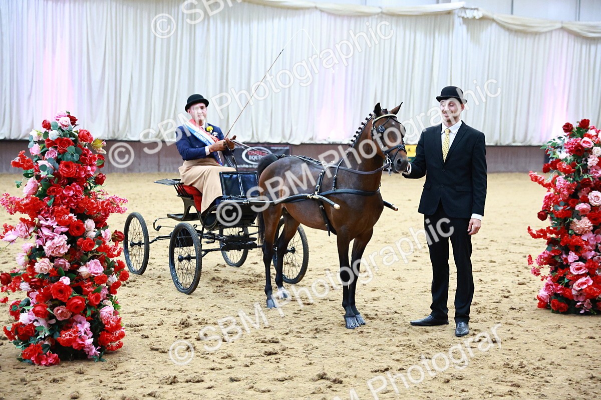 SBM_000692 - Class 9 - HHS Championship Intl Hackney Pony to a Showwagon
