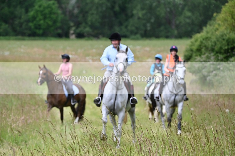 WJ6_8094 - Camera 1 Gallops