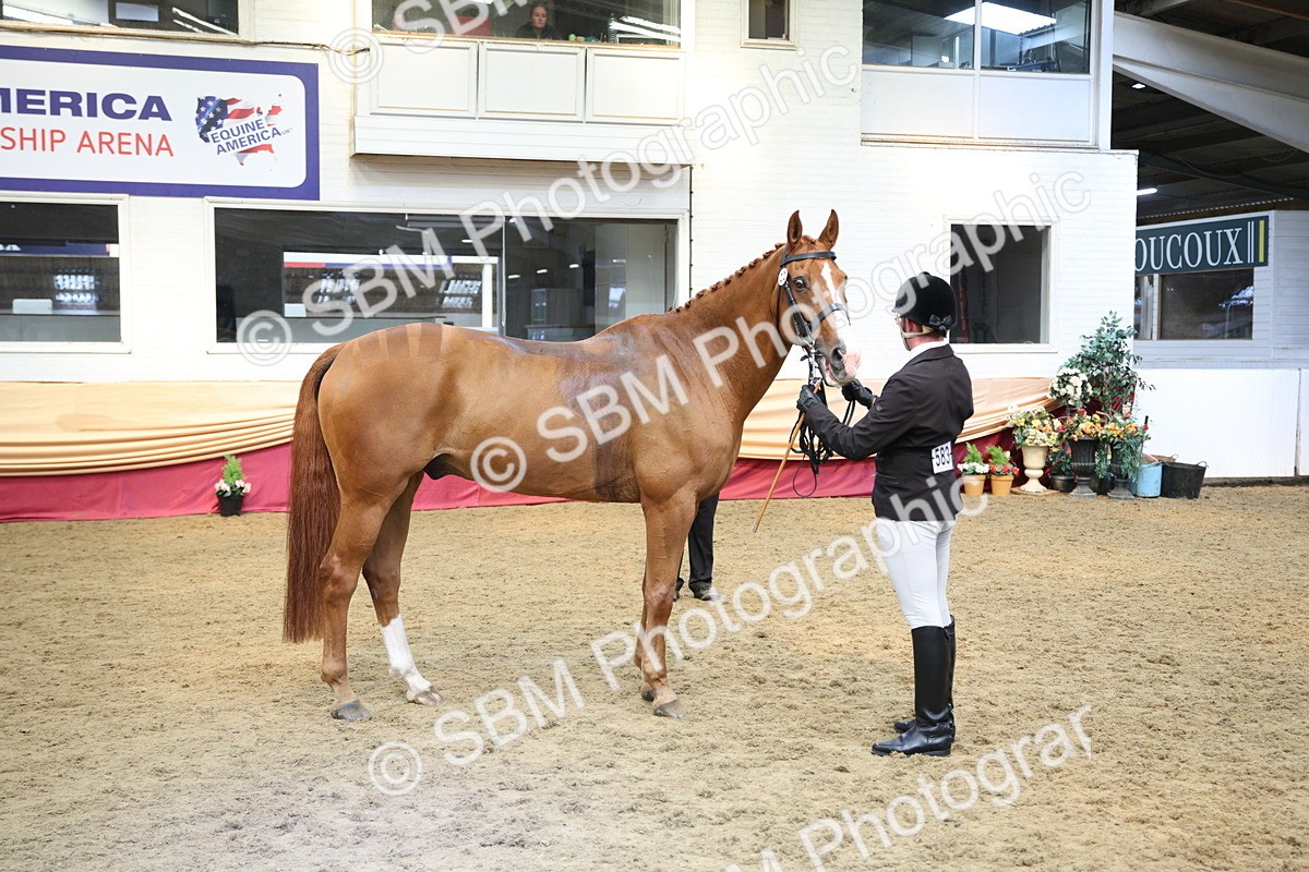 SBM_24291 - Class 905 - Supreme Final - Ridden Veteran