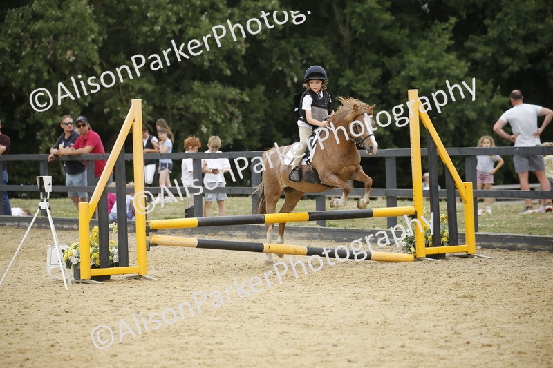 20250622-6132 - 60cm