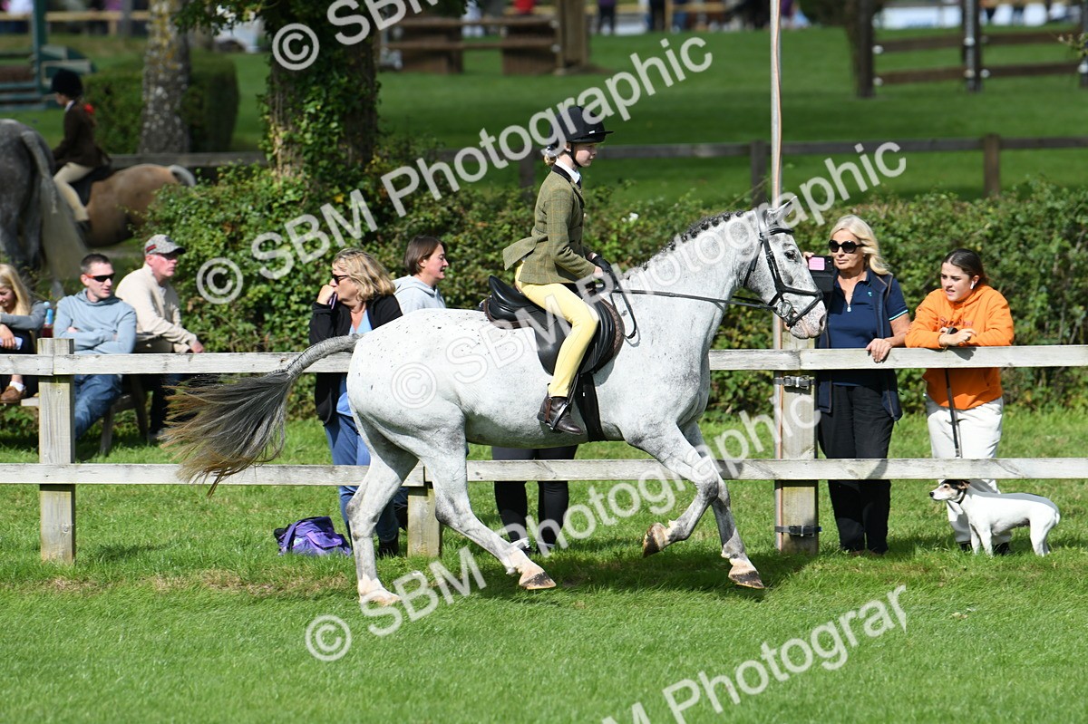 SBM_46879 - S12 - Family Horse & Pony