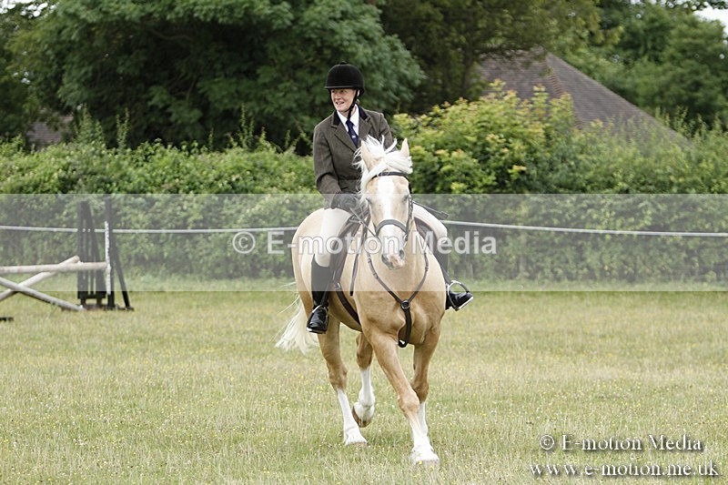 BVR160717-369 - Ring 3 BVRC Show 16/07/17