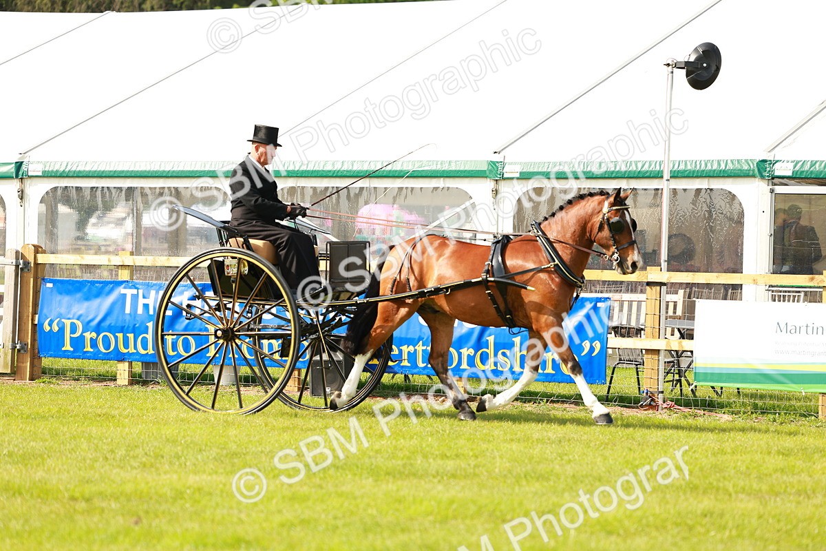 SBM_01173 - Class 2-4 - HOYS Private Driving
