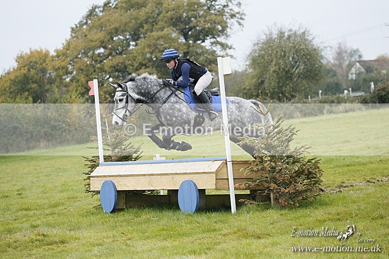 WWHT 181020 WWHT 181020 611 - WWEC Open Novice (0.80m) 18/10/20