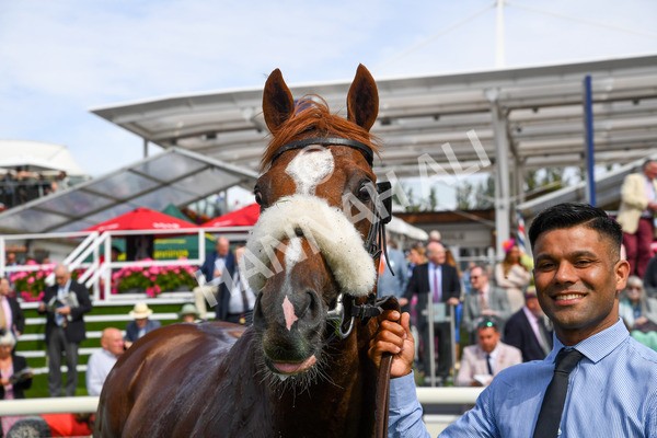 250823-Race 1-Marhaba The Champ-0211 - Race 1 1.50pm Sky Bet Handicap