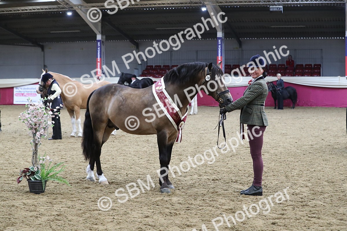SBM_15412 - Class 501 M&M IH Supreme Final