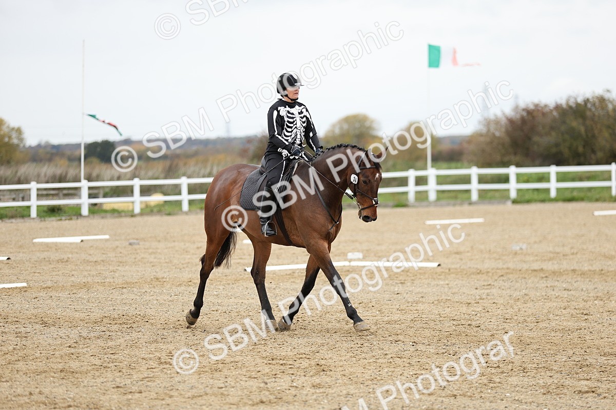 SBM_003895 - Class 9-12 - Novice 2 Elementary 3