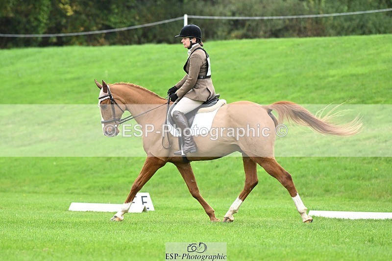 241024-105654-03100 - 502-Alison.Stewart-RICO.III