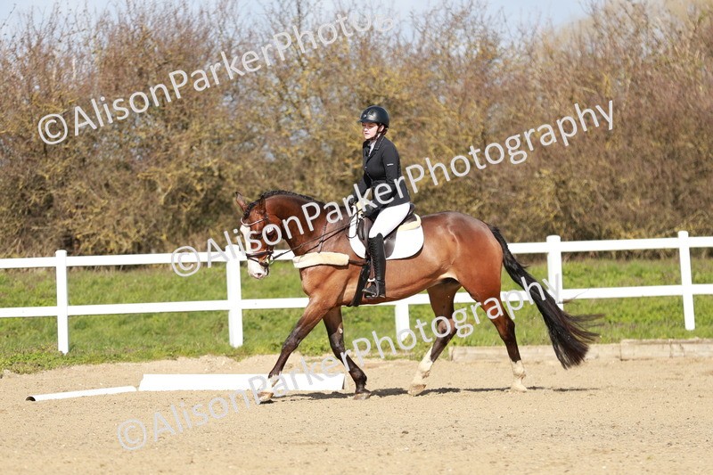 20260314-2906 - DR3 - Prelim 1