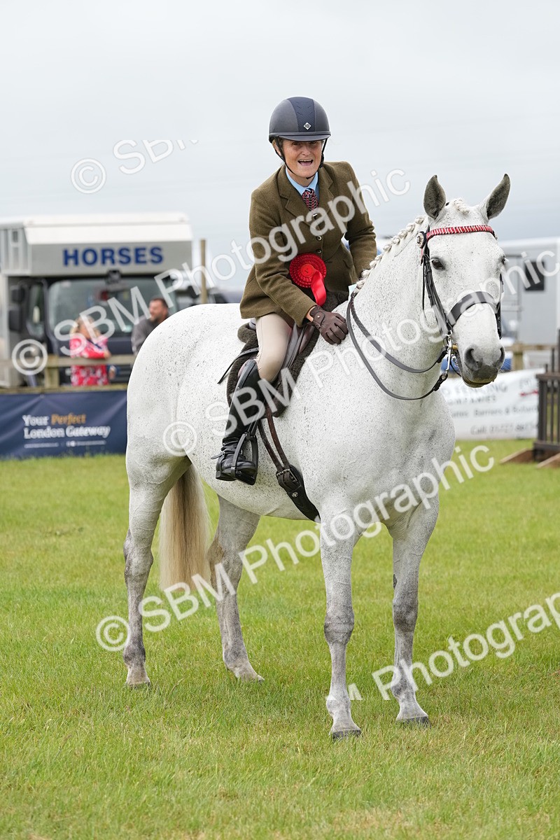 SBM_10645 - Class 97-98 - LIHS BSHA Rising Star Working Show Horse Hunter