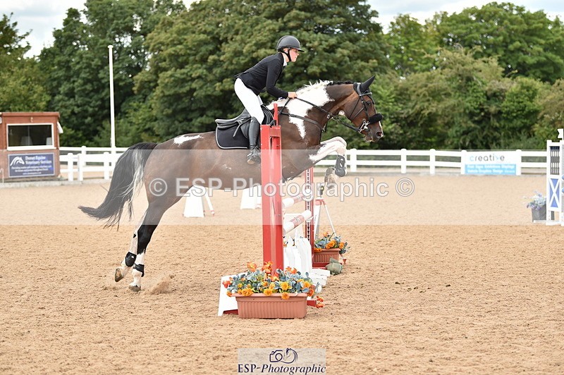 230720A-121116-02477 - Cls 13, 1 Star Bronze 1.10m