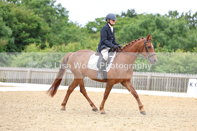 3E7A9362 - Class 2: Intro 1 2024 Section B