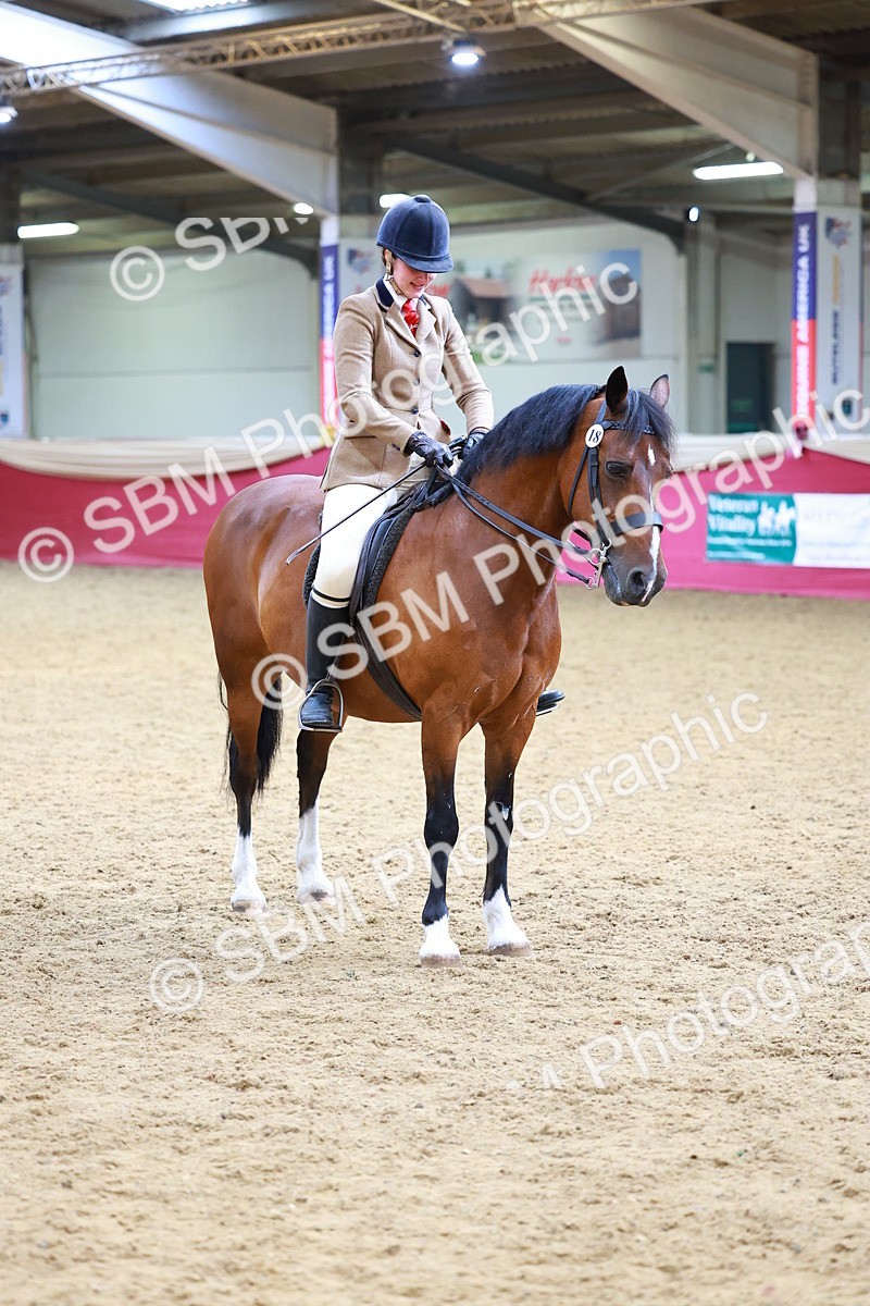 SBM_00789 - Class 6A - Ridden Pre-Vet