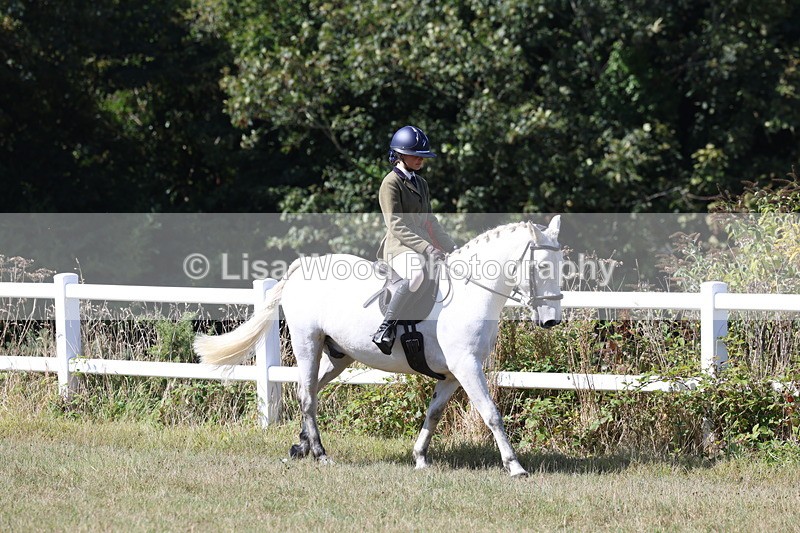 3E7A6334 - Working Hunter Championship