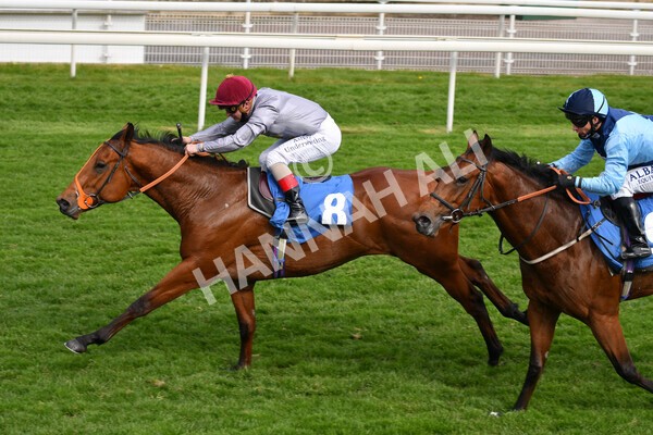 yr13052021r6-36 - Race 6 4.15pm Constant Security EBFstallions.com Maiden Stakes