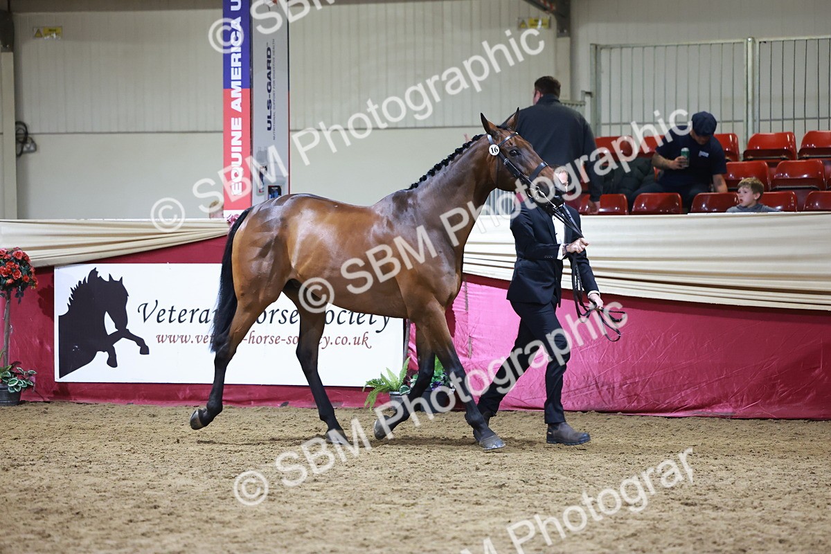 SBM_20617 - Class I - Ridden Pony Champ
